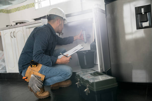 Best Clogged Drain Plumber  in Nashotah, WI