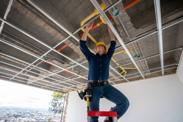 Best Clogged Drain Plumber  in Nashotah, WI