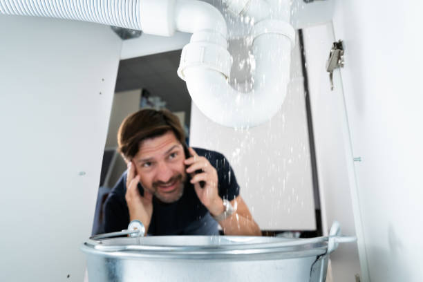 Best Sprinkler Systems  in Nashotah, WI