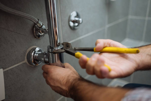Best Sprinkler Systems  in Nashotah, WI